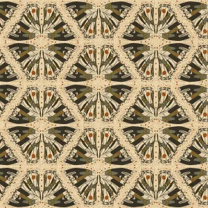 Swallowtail in Olive - CANVAS - Scout Lake - Ash Cascade
